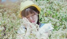 爱莎塔罗本周星座运势（6.11-6.17）