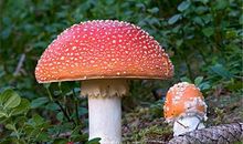 AB型血属牛的人最有前途吗？