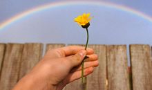 易鑫2019年11月5日生肖运势