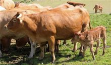 AB血型君早该明白的道理