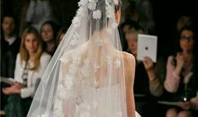 双鱼座代表的头纱