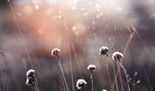 天秤座女生对待朋友的态度