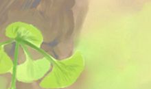 十大家居风水的凶兆