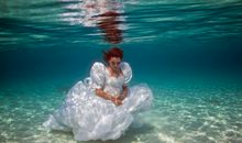 双子座如何应对禽流感