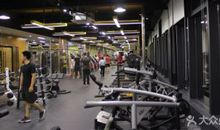 天秤座的健身指南