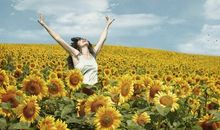 白羊座如何应对禽流感