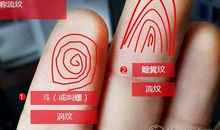 手指斗的说法：手相有几个斗是富贵命？