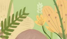 全面解析：额头日月角面相