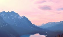 1989年属蛇的是什么命