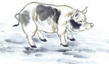 1995年属猪的人2020年运势大全及破解