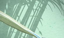 骨相学：教你辨别骨相秀还是浊