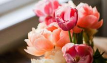 易鑫2019年10月28日生肖运势