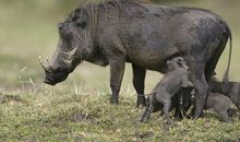 B血型的人潜力大吗？