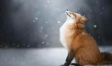 AB血型君如何缓解焦虑？