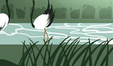 本命年饰品的佩戴禁忌