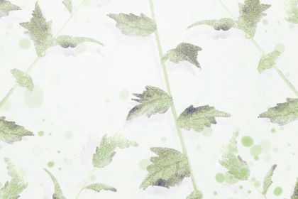 哄牛女孩的最佳方法是什么