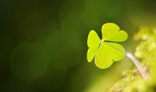 双子座女生对待朋友的态度