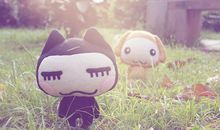 金牛座女生对待朋友的态度