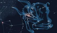 O型血金牛座的性格特点