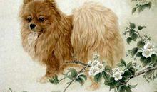 1970年属狗的人2020年运势大全及破解