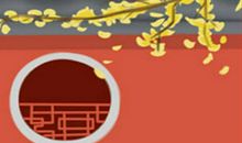 属鼠的人2014年运程