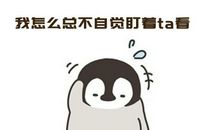 与双子座恋爱的原则