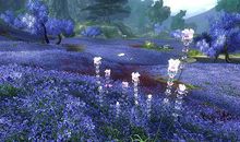 狂月今日运势2018年9月1日