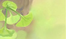 如何利用本命年改变好运势