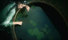 郑博士2020年8月18日生肖运势