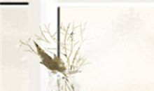 2017年属鸡人财运运势早知道