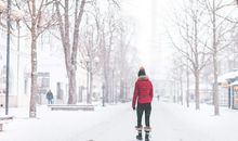 1985年属牛2019年运势及运程