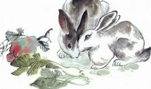 1987年属兔的人2020年运势大全及破解