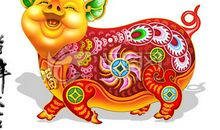 第一运程：1971年属猪的人2015年运程