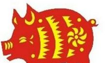 第一运程：1935年属猪的人2015年运程