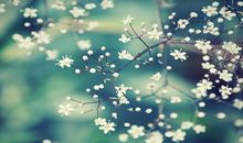 A型血风象星座的爱情特点