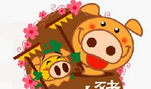 第一运程：1995年属猪的人2015年运程