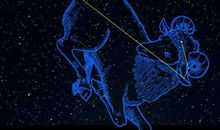 O型血白羊座的性格特点