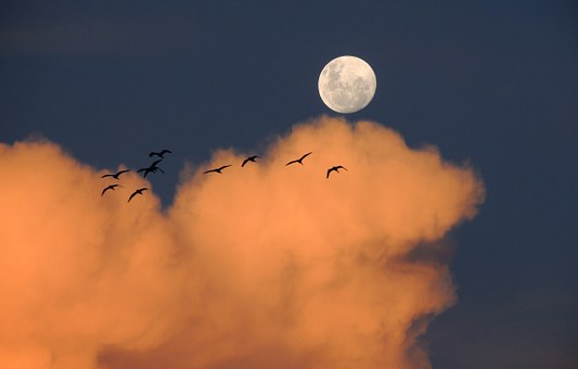 白天梦见月亮