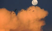 梦见白天的月亮