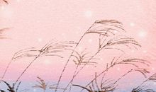 山康节是布朗族最盛大的节日