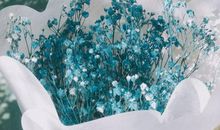 易鑫一周生肖运势（3.18-3.24）