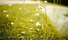 金牛座最令人讨厌的地方