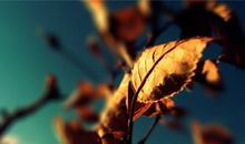 射手座性格分析