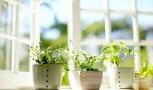 白羊座性格分析