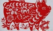 2007年属猪的人2016年运程大全及破解