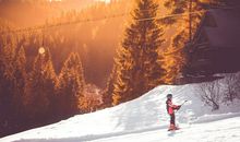 1988年属龙2019年运势及运程