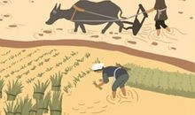 隐藏在军事才能之后的风水大师：张良的故事