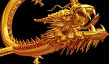 AB血型的属龙人