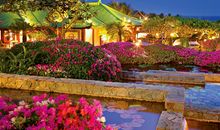 B血型君的秘密花园