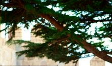 让天秤女一见钟情的特质